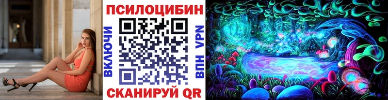 Галлюциногенные грибы Psilocybe  Острогожск 